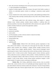 Gaminio būvio ciklas ir galimybės tobulinti aplinkos apsaugą 9 puslapis