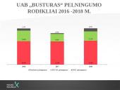 UAB "Busturas" Finansinės būklės analizė 11 puslapis