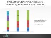 UAB "Busturas" Finansinės būklės analizė 12 puslapis