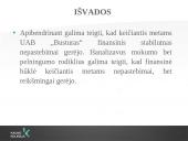 UAB "Busturas" Finansinės būklės analizė 15 puslapis