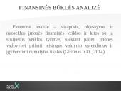 UAB "Busturas" Finansinės būklės analizė 4 puslapis