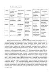 Funkciniai kalbos stiliai 5 puslapis