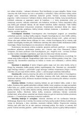 Funkciniai kalbos stiliai 7 puslapis