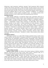 Funkciniai kalbos stiliai 8 puslapis