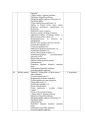 Soc. pedagogo metinė ataskaita 3 puslapis