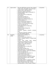 Soc. pedagogo metinė ataskaita 4 puslapis