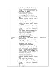 Soc. pedagogo metinė ataskaita 6 puslapis