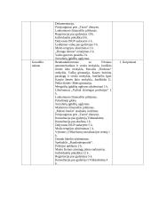 Soc. pedagogo metinė ataskaita 7 puslapis