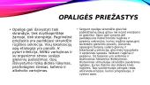Opaligė. Simptomai, priežastys, eiga ir gydymas 4 puslapis