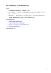 Spausdinimo procesai ir naudojama įranga 13 puslapis