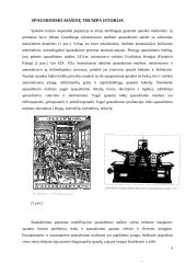 Spausdinimo procesai ir naudojama įranga 4 puslapis