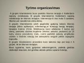 Atvejo analizė. Kaltenborn mobilizacija 6 puslapis