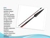 Senovės ginklai ir kovos prietaisai 11 puslapis