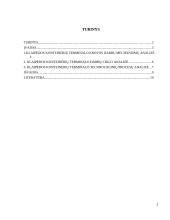 Konteinerių iškrovimas Klaipėdos konteinerių terminale pagal schemą laivas-krantinė 2 puslapis