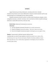 Konteinerių iškrovimas Klaipėdos konteinerių terminale pagal schemą laivas-krantinė 3 puslapis