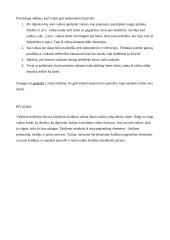 Laisvas kūrybinis žaidimas kaip būtina sveiko vystymosi prielaida 2 puslapis