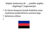 Italijos suvienijimas, jo eiga 8 puslapis