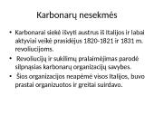 Italijos suvienijimas, jo eiga 9 puslapis