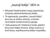 Italijos suvienijimas, jo eiga 10 puslapis