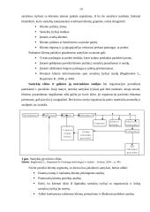 KLIENTŲ LOJALUMO TYRIMAS X  ĮMONĖJE 14 puslapis