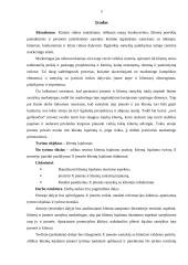 KLIENTŲ LOJALUMO TYRIMAS X  ĮMONĖJE 5 puslapis