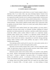 Banko „x“ įvaizdžio Klaipėdos mieste analizė 12 puslapis