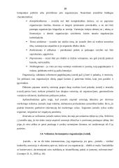 Banko „x“ įvaizdžio Klaipėdos mieste analizė 19 puslapis