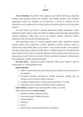 Banko „x“ įvaizdžio Klaipėdos mieste analizė 5 puslapis