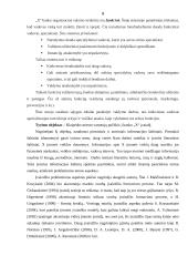 Banko „x“ įvaizdžio Klaipėdos mieste analizė 9 puslapis