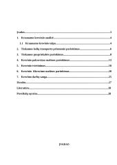 Vynuogių gabenimas 2 puslapis