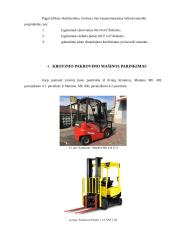 Vynuogių gabenimas 13 puslapis