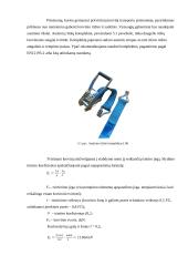 Vynuogių gabenimas 19 puslapis