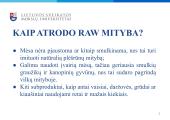 RAW mityba šunims 3 puslapis