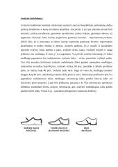 Avalynės asortimento nagrinėjimas 3 puslapis