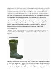 Avalynės asortimento nagrinėjimas 5 puslapis