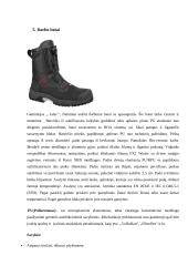 Avalynės asortimento nagrinėjimas 9 puslapis