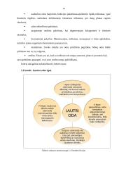 Pieno rugšties poveikis mišriai odai 14 puslapis