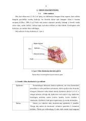 Pieno rugšties poveikis mišriai odai 8 puslapis