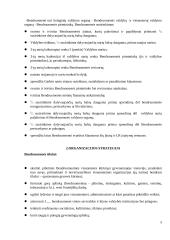 Seniūnijos Kaimų Bendruomenė 5 puslapis