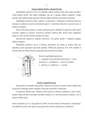 Gaisro ir gesinimo priemonės 4 puslapis