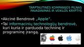 Tarptautinio verslo kompanijos aplinkos analizė 2 puslapis