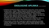 Tarptautinio verslo kompanijos aplinkos analizė 11 puslapis