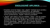 Tarptautinio verslo kompanijos aplinkos analizė 12 puslapis
