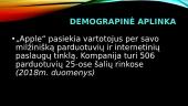 Tarptautinio verslo kompanijos aplinkos analizė 13 puslapis