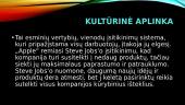 Tarptautinio verslo kompanijos aplinkos analizė 15 puslapis