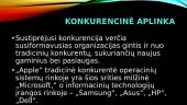 Tarptautinio verslo kompanijos aplinkos analizė 16 puslapis