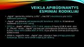 Tarptautinio verslo kompanijos aplinkos analizė 6 puslapis