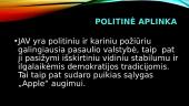 Tarptautinio verslo kompanijos aplinkos analizė 8 puslapis
