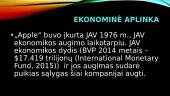 Tarptautinio verslo kompanijos aplinkos analizė 10 puslapis