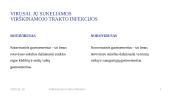 Virškinamojo trakto infekcijos 18 puslapis